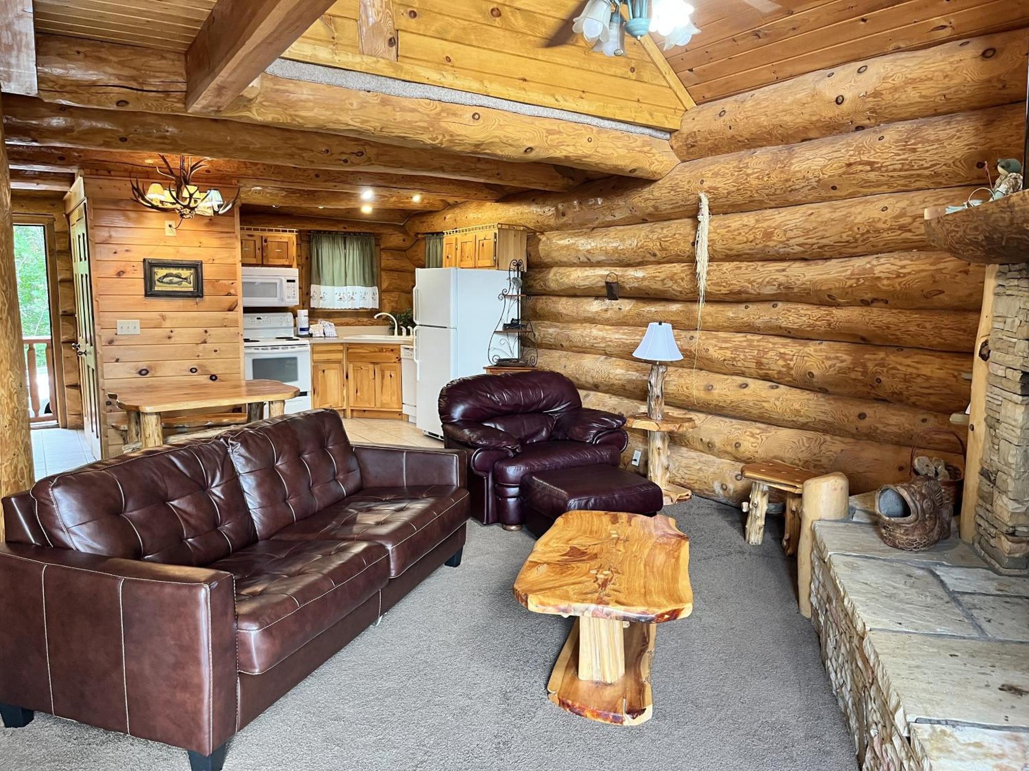 Infinite Views - Secluded With Mountain Views Cabin แกตลิงเบิร์ก ภายนอก รูปภาพ